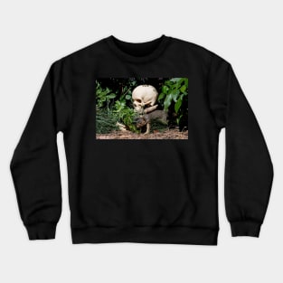 The Haunted Woods Crewneck Sweatshirt